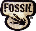 Pokmon - Fossil - Franais