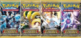 Pokmon Noir &  Blanc - Destines futures - Franais